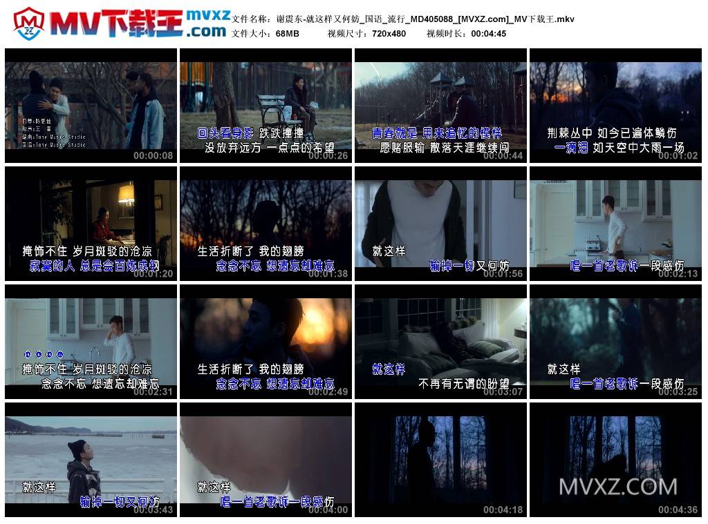谢震东-就这样又何妨_国语_流行_MD405088